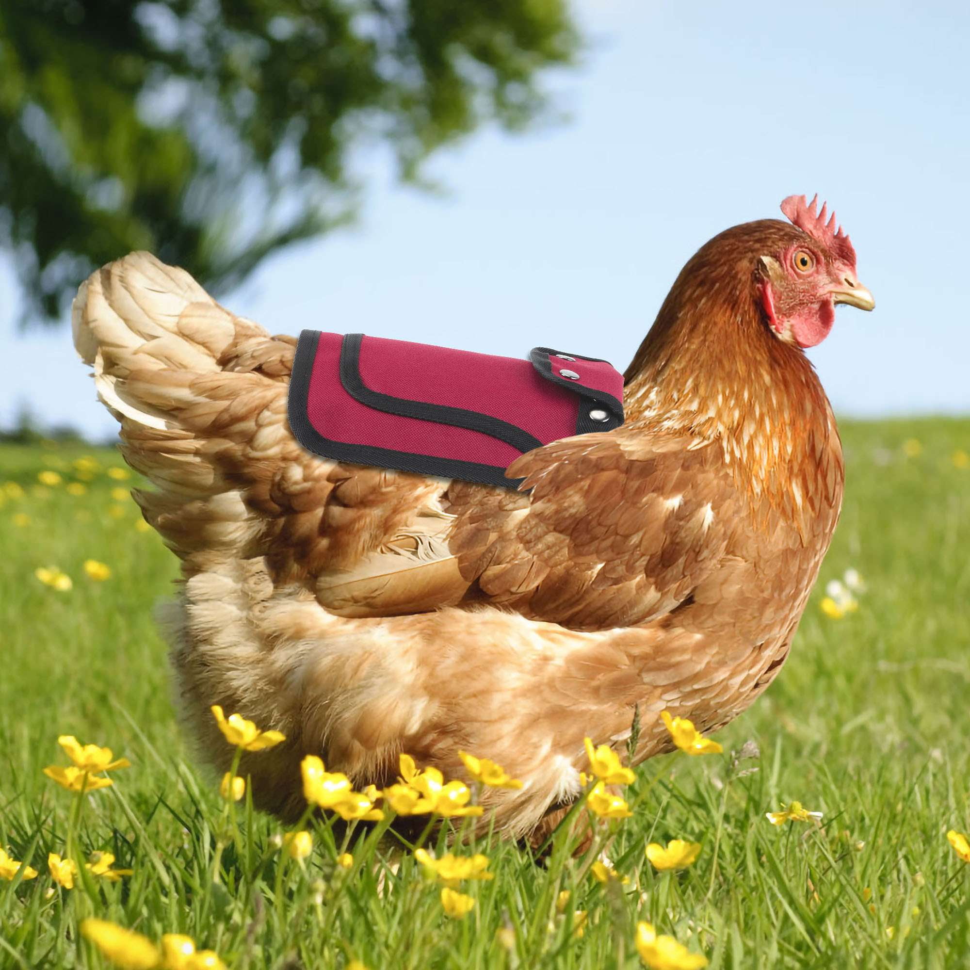 Chicken reflective vest best sale
