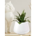 thumbnail image 2 of Serene Spaces Living Small White Fiberstone Pot, 8" Diameter & 5.75" Tall, 2 of 3