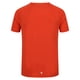 thumbnail image 2 of Regatta - Camiseta Ambulo para Hombre (Naranja Oxidado), 2 of 4