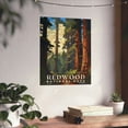 thumbnail image 3 of ELNEIT - Redwood National Park Poster, Unframed Matte Paper, S07, 3 of 4