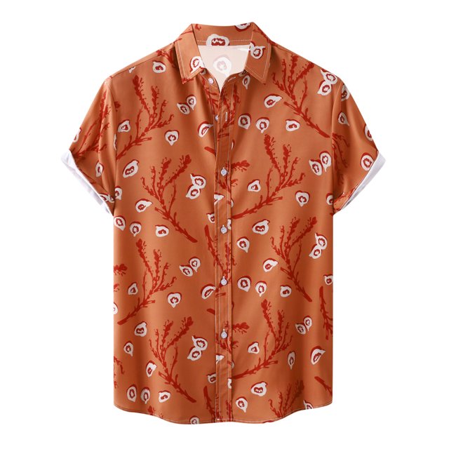 Birdeem Chemise Décontractée pour Hommes à Imprimé Hawaïen Col Rabattu Manches Courtes Fermeture à Boutons