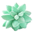 thumbnail image 1 of Suculentas 3D Throw Pillow Cute Soft Pnt Cojín Sofá Cama Decoración 25cm Zulema Almohada de cactus suculentas, 1 of 8