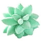 thumbnail image 2 of Peluche Decorativo Suculents Colco Almohada Cactus 25cm, 2 of 8