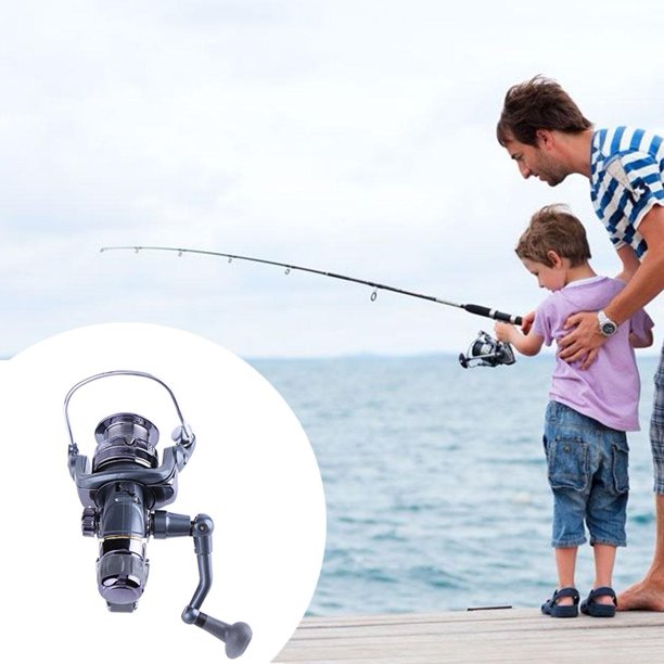 Carrete de pesca Carp Spinning Carbon Frenos delanteros y traseros 3BB (20RF) FLhrweasw Nuevo