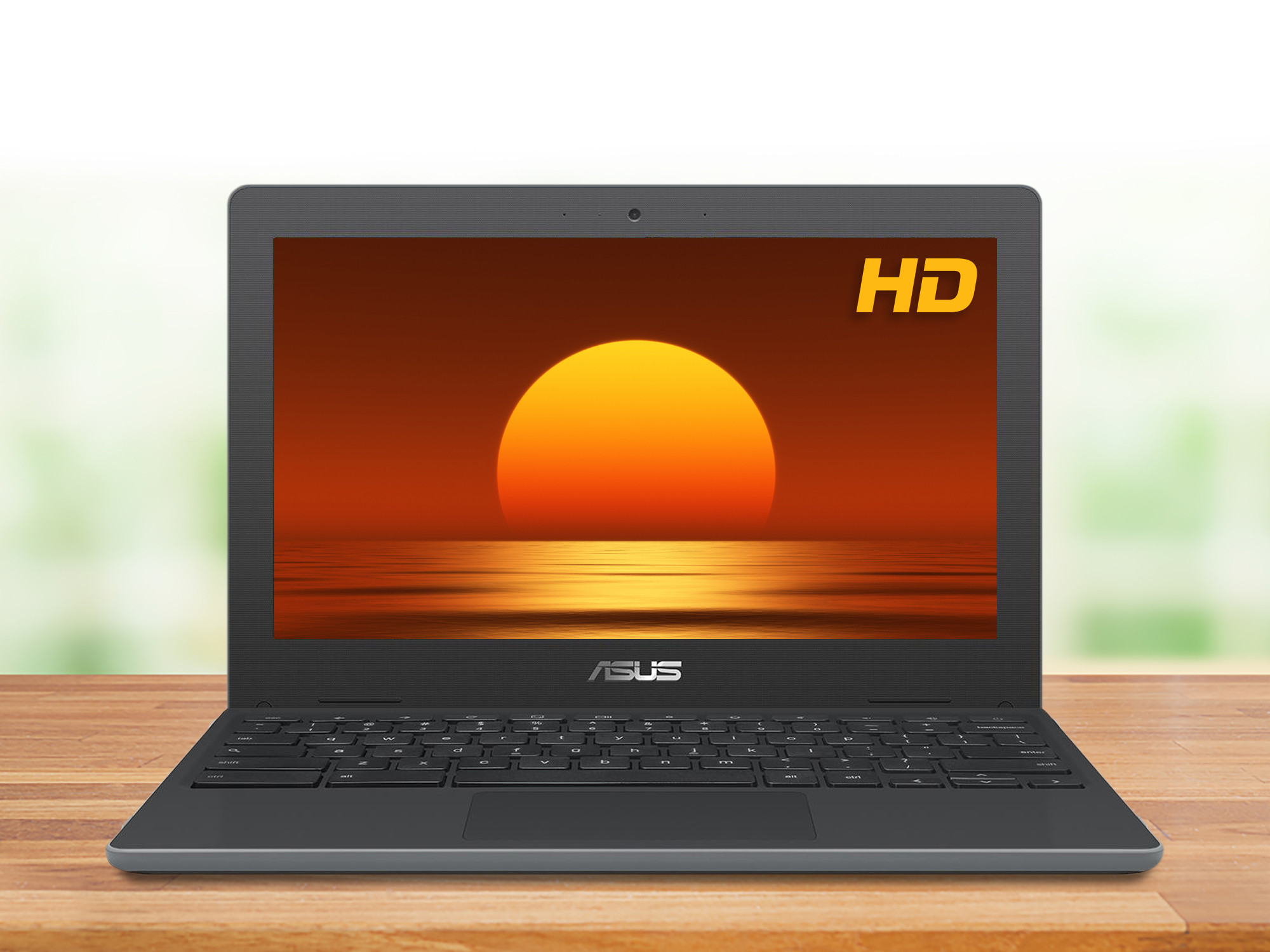 ASUS C204EE Chromebook, 11.6