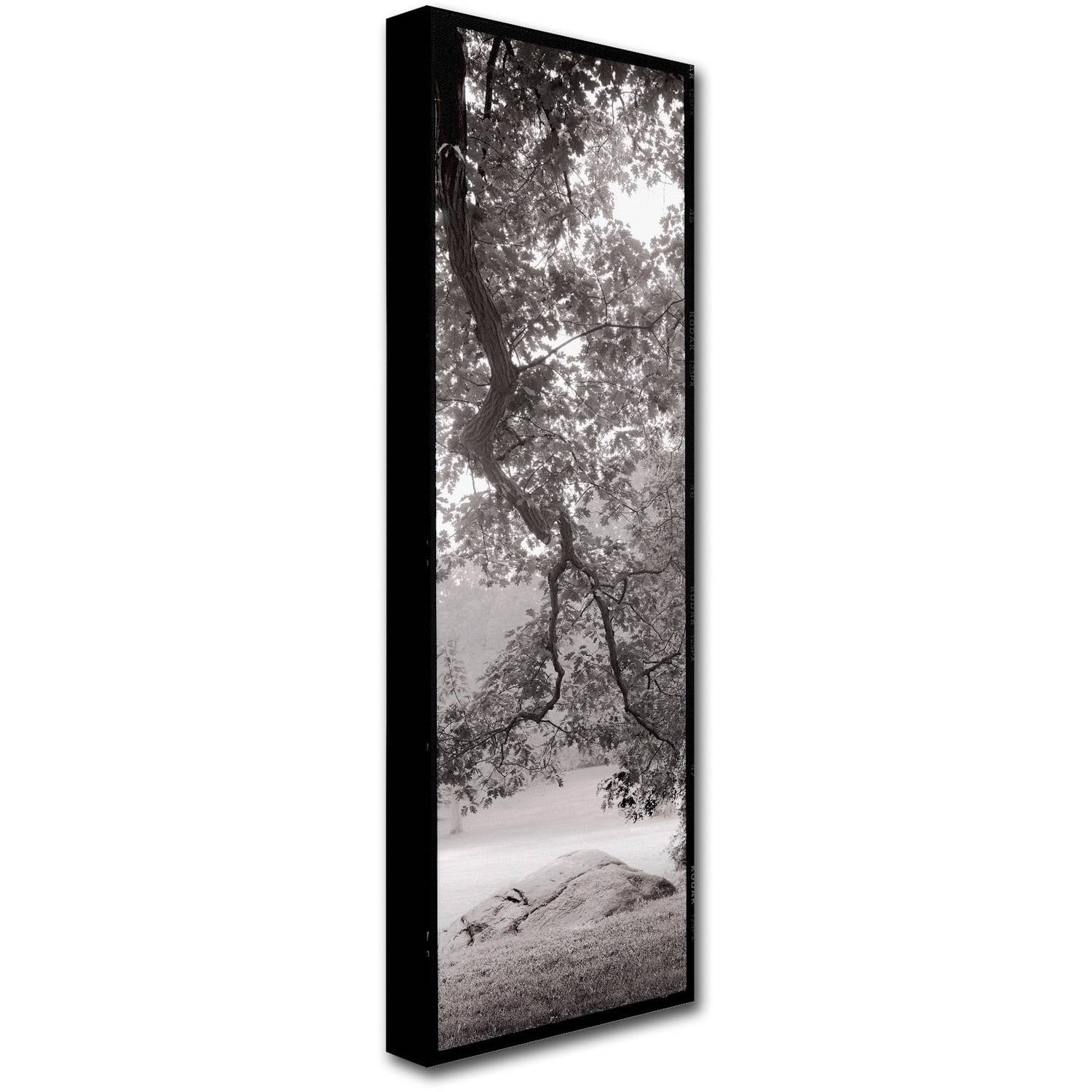 Trademark Fine Art "Hampton Field Tree I" Canvas Art by Alan Blaustein
