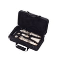 thumbnail image 4 of ABS 17-Key Clarinet Bb Flat with Carry Case Gloves Cleaning Cloth Mini Screwdriver Reed Case 10pcs Reeds Woodwind Instrument, 4 of 7