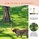 thumbnail image 3 of Juguete De Cuerda Elástica QUJOGA para Perros Pitbull Medianos a Grandes, 3 of 6