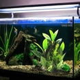 thumbnail image 5 of Acuario, decoración de pecera, conjunto de árbol de plantas de acuario, decoración de pecera, 5 of 5