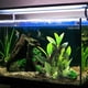 thumbnail image 5 of Acuario, decoración de pecera, conjunto de árbol de plantas de acuario, decoración de pecera, 5 of 5