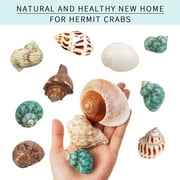 12PCS Hermit Crab Shells for Small Medium and Large Crabs Size 1.4"-3.2" Supplie