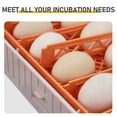 thumbnail image 5 of 56 Eggs Incubator with Fully Automatic Turner, Upgraded LED Candler, Auto Temp & Humidity Control (Fahrenheit Display), Strip Egg Tray, 56H 110V 85W, 5 of 10