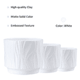 thumbnail image 2 of White Ceramic Ribbed Flower Pots (3 Count), 2 of 7