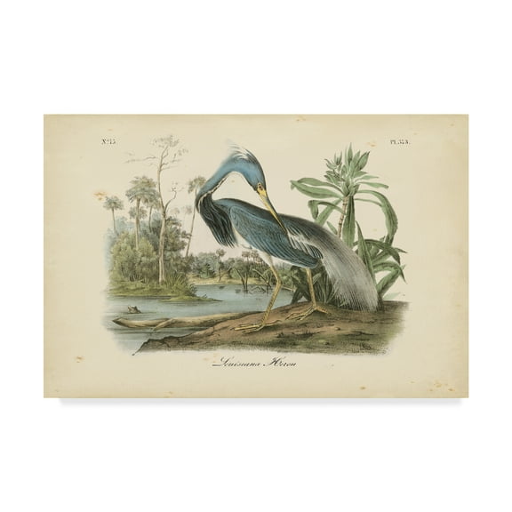 Trademark Fine Art 'Audubons Louisiana Heron' Canvas Art by John James Audubon