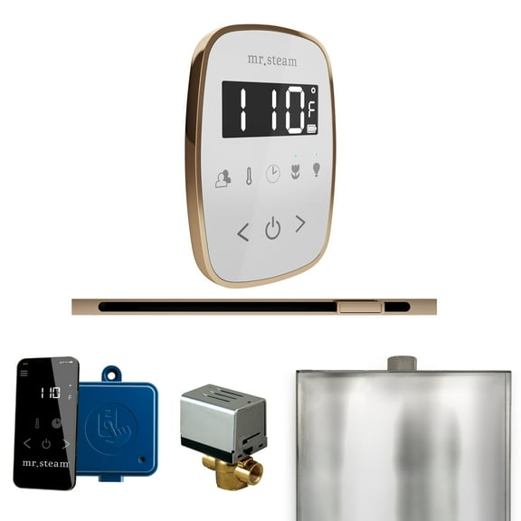Mr Steam ButlerFlex Steam Shower Pkg w/TempoFlex Control and Linear Steamhead in White Polished Gold