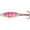 Pink Tiger, variant on Northland UV Forage Minnow Spoon Firetiger 1/16 oz