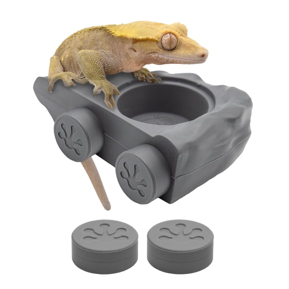 Pangaea Repisa de Alimentación Magnética de Silicona para Gecko - Plato Mini para Comida en Terrario de Reptiles - 10,5 cm x 6,7 cm x 3 cm - Compatible con Vasos de 15 g (Gris)
