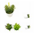 thumbnail image 3 of Planta artificial flor artificial en maceta simulación de plantas suculentas simulación de plantas verdes flores bonsái adornos decoración de ventanas decoración del hogar simulación de plantas en macetas (1 mil orejas de conejo (verde) + 2 mil orejas de conejo (verde)) Sailing Electrónica, 3 of 5