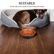 thumbnail image 3 of TABLETREANDS Para Perros De Inoxidable Con Martillado Antideslizante Para Hogar Moderno, 3 of 8