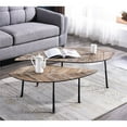 thumbnail image 2 of Connexion Decor Ash Reclaimed Oak Wood Coffee Table Set in Natural/Black, 2 of 6