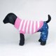 thumbnail image 3 of Xihbxyly Suéter de Invierno para Mascotas, Chaleco Cálido de Poliéster, Elegante Diseño Azul, Suave y Acogedor, Ropa Unisex para Perros, Ideal para Climas Fríos, Varios Tamaños Disponibles, Ajuste Có, 3 of 3