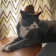 thumbnail image 6 of Pet Cowboy Hat, Mini Costume Accessory for Dogs & Cats,Holiday Costume Pets Party Decoration(M,White), 6 of 8