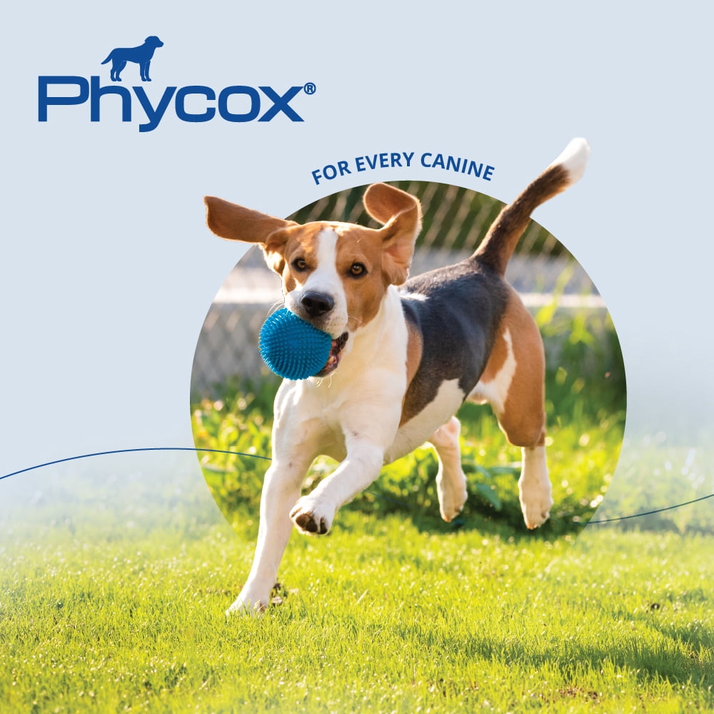Phycox H/A Small Bites  (120ct)