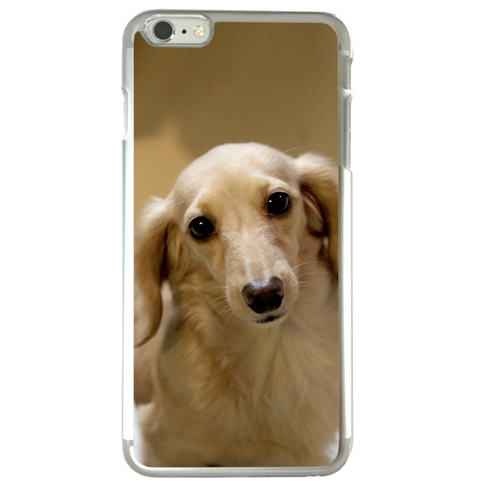 Longhair Dachshund Dog Puppy Apple Iphone 6 6s 4 7 Inch Phone