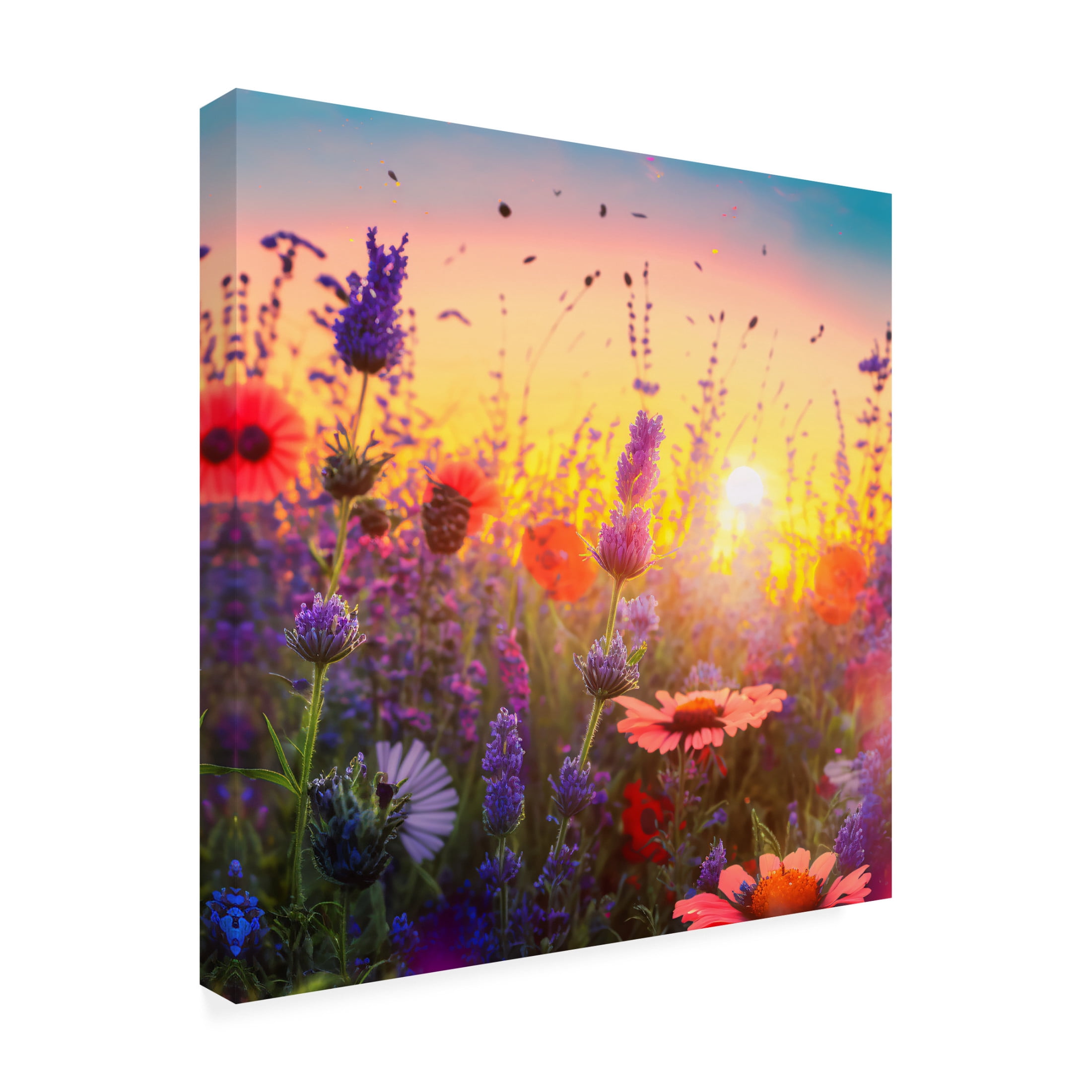 Canvas Wall Art - Ray Heere 'Flowering Fields 4' Wall Art for Living Room, Bedroom, or Office Décor by Trademark Fine Art - 24 x 24 Inches
