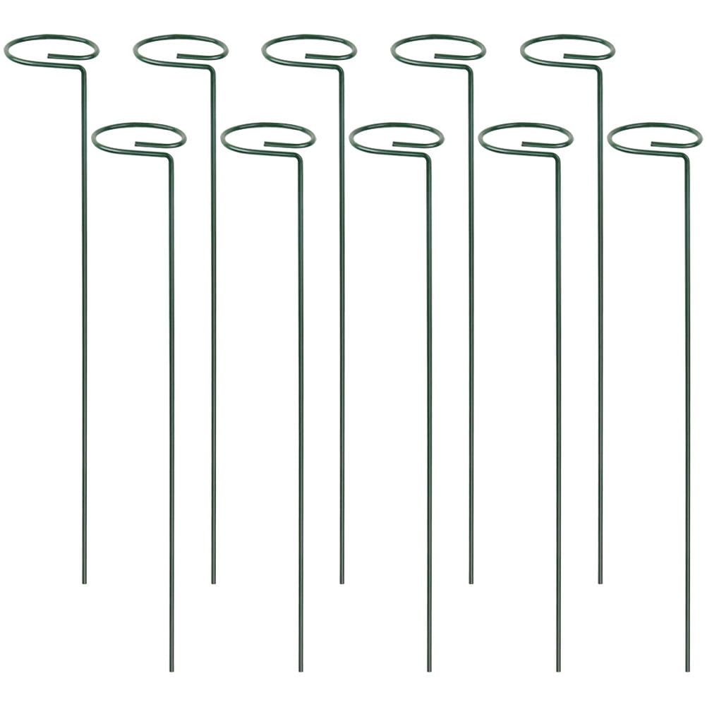 IBASETOY 10pcs Plant Climbing Trellis Support for Vines and Flowers for Outdoor Garden and Patio Use