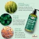 thumbnail image 5 of Viking Revolution Acondicionador para barba y lavado de barba para hombres con aceite de argán y aceite de jojoba, suavizante y fortalecedor de barba, champú y acondicionador para el cuidado de la bar, 5 of 5