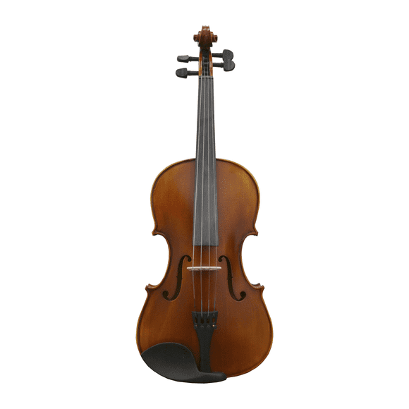 4/4 Size Student Violin Ensemble - Matte Finish
