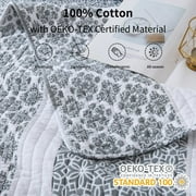 Bedduvit Gray/White Queen Size Quilt Set - 100% Cotton Grey Floal Striped Summer Quilt for Queen Bed, Reversible Classic Lightweight Queen Bedspread, 3-Piece Bedding Set All Season (98x90, Gray)