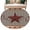 Brown Black, variant on Texas Star Vintage Area Rugs 5'x7', Washable Small Throw Rugs for Laundry Room Playroom, Brown Checkered Berry Farmhouse Indoor Outdoor Rug Non-Slip Low Pile Carpet Runner Reversible Floor Mats