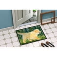 thumbnail image 4 of Carolines Treasures SS8859JMAT Golden Retriever Doormat 24x36 36"L x 24"W multicolor, 4 of 4