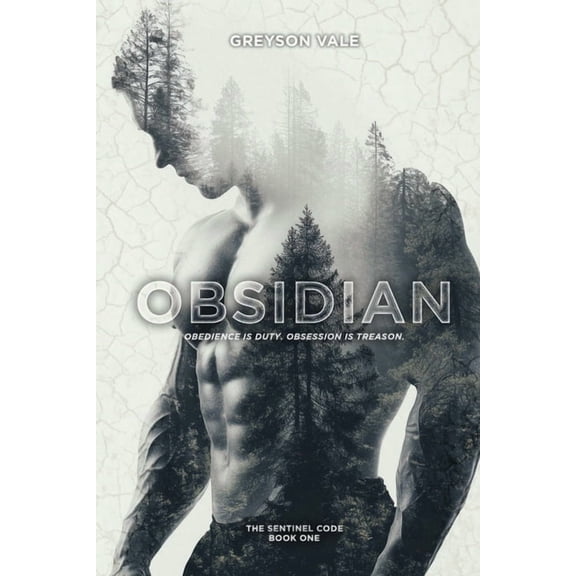 The Sentinel Code Obsidian: A Dark MM Romance, Book 1, (Paperback)