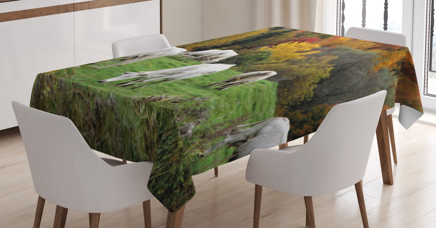 Farm Animal Tablecloth, Photo of Grazing Cows on Hill with Colorful ...