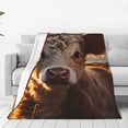 thumbnail image 4 of Salouo Sunset Sunflower Small Cow Print Bed Blankets,Flannel Blanket Comfortable Air Conditioning Blanket Lightweight Blanket for Sofa Bed Travel & Couch -40"x30", 4 of 8