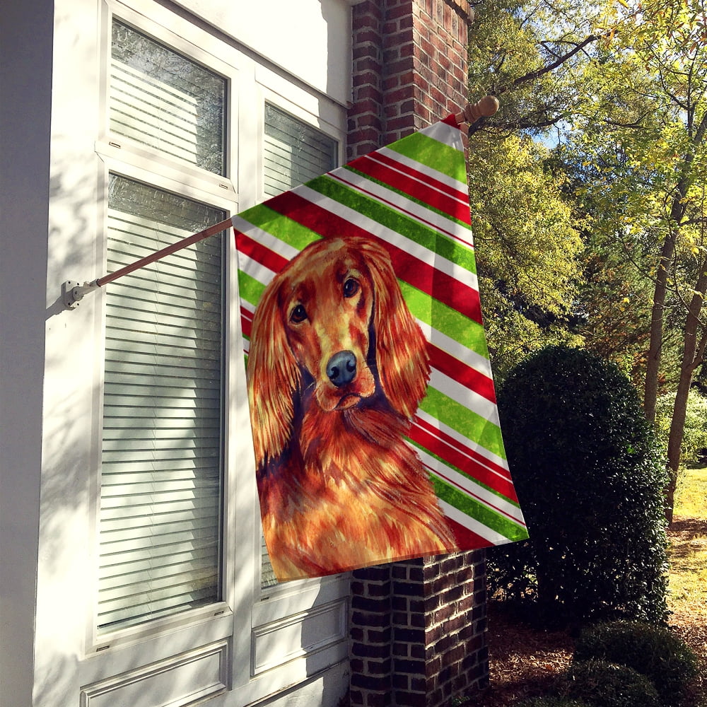 Carolines Treasures LH9254-FLAG-PARENT Irish Setter Candy Cane Holiday Christmas  Flag  multicolor