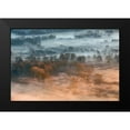 thumbnail image 2 of Carozzi, Fiorenzo 24x17 Black Modern Framed Museum Art Print Titled - Autumnal Misty Dawn, 2 of 5