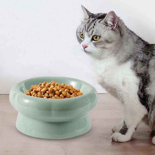 Cuenco de comida para gatos perfecl cerámica antid Verde 180ML