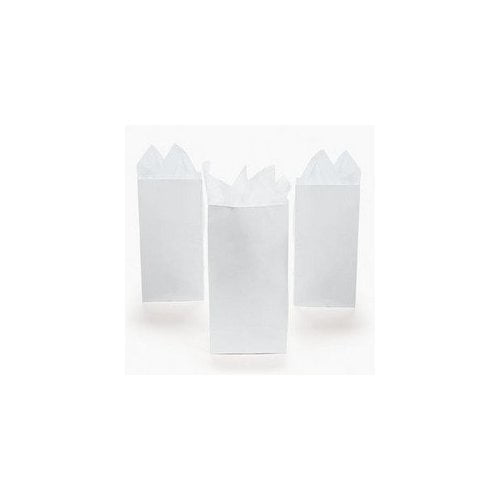 MINI WHITE PAPER TREAT BAGS (2 DOZEN) - BULK