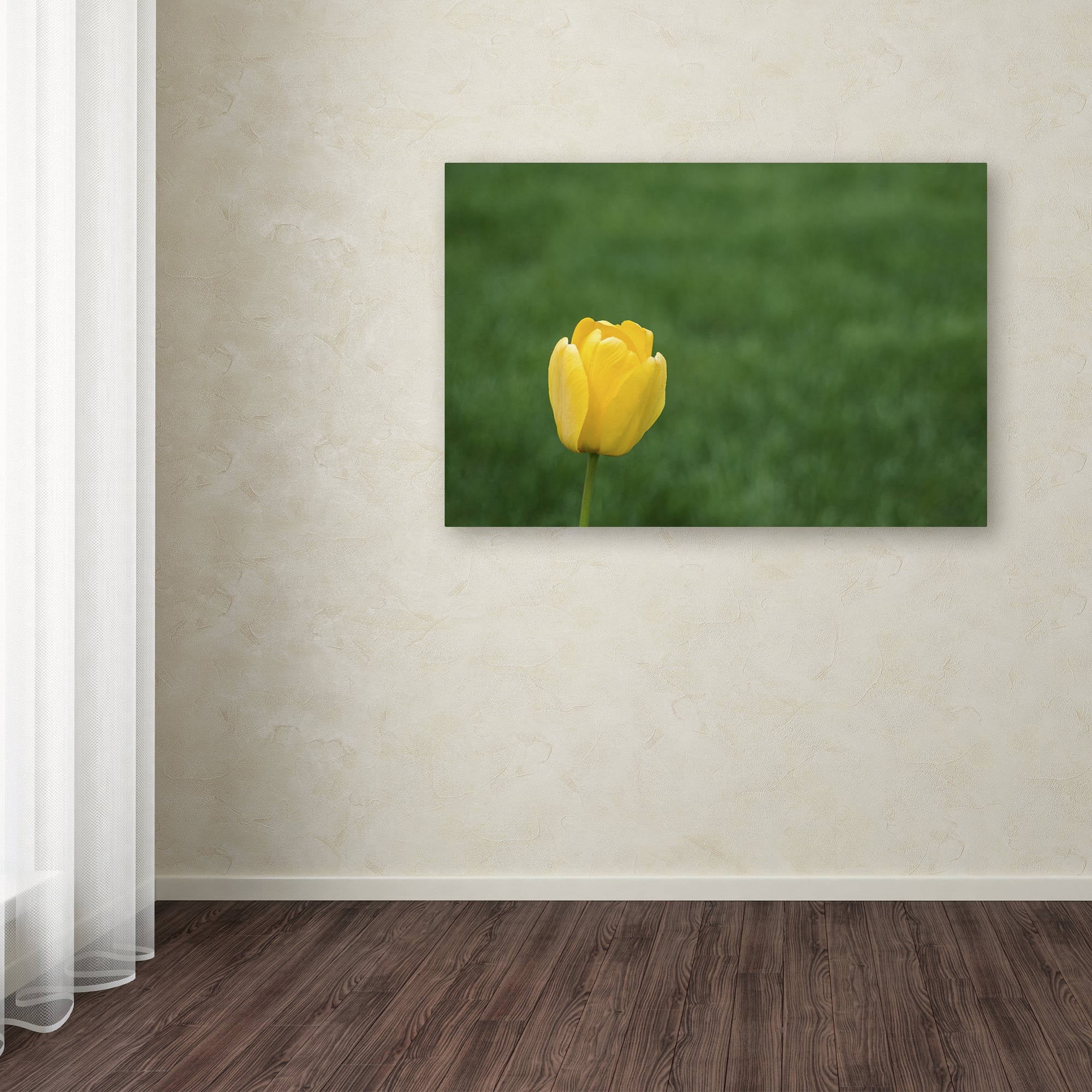 Trademark Fine Art "A Lone Yellow Tulip 2" Canvas Art by Kurt Shaffer