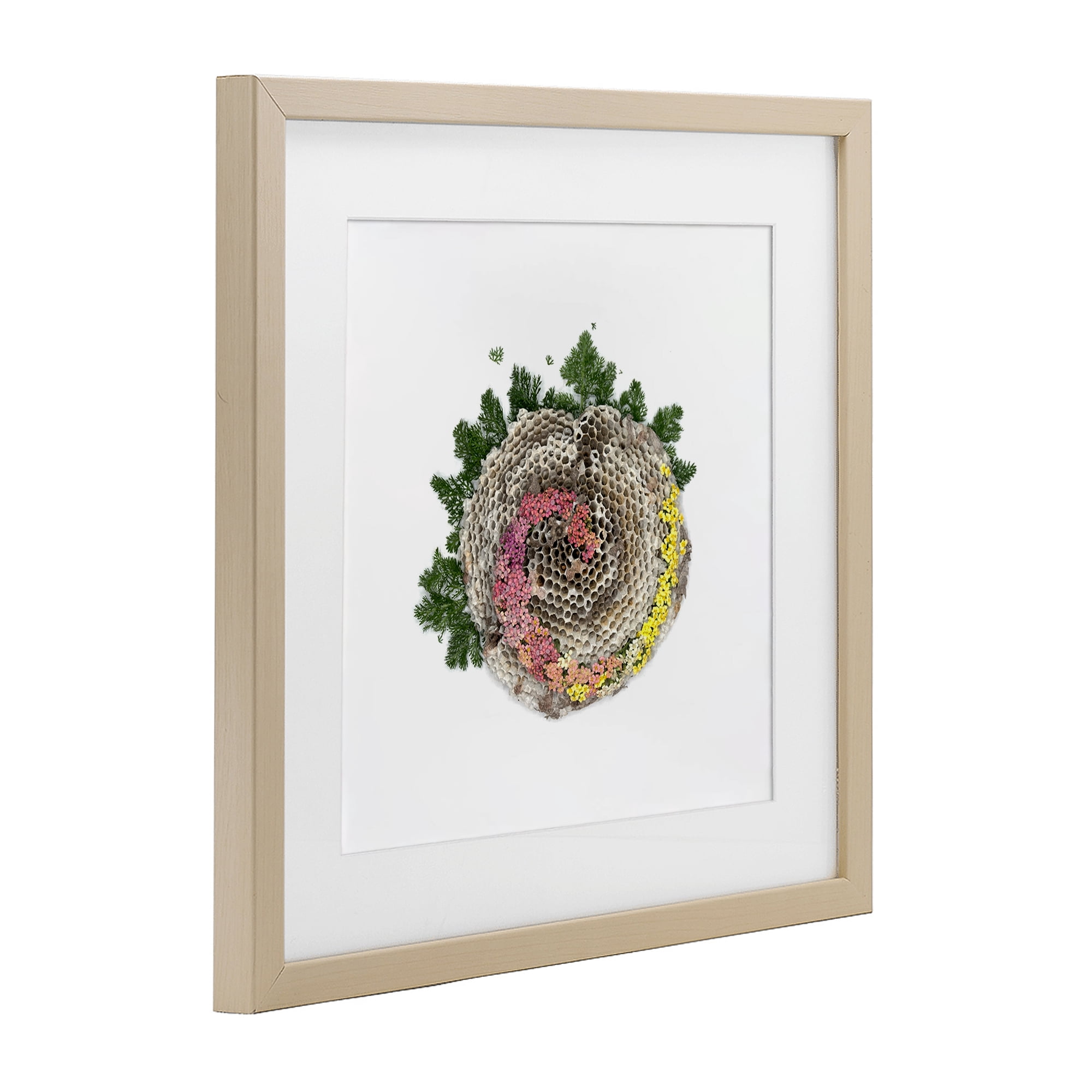 Stupell Industries Honeycomb with Botanicals Birch Framed Print Under Glass, design by Beth Adoette