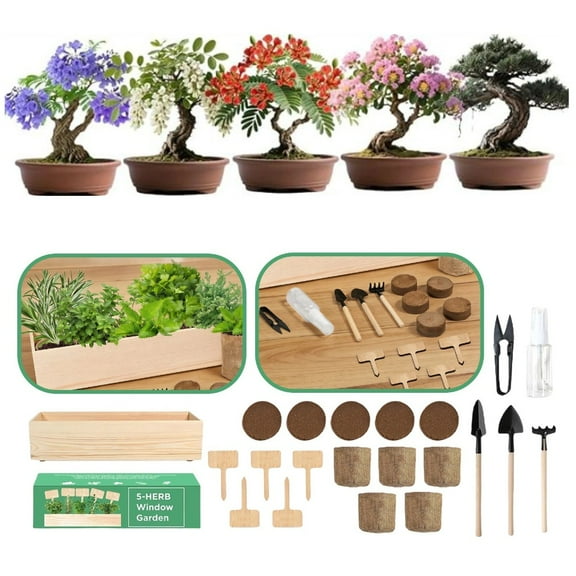 Bonsai Tree Kit for Beginners - Unique DIY Japanese Bonsai Trees,Crafts for Adults, Ideal Gardening Birthday Gift for Women & Men,Complete Indoor Plant Kit