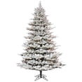 thumbnail image 1 of Arbre de Noël Kiana Floqué 9 Pi x 66 Po avec 3 mm & 2450 Blanc Chaud, 1 of 1