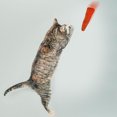 thumbnail image 5 of BEADCEST 6Pcs Cabbage Catnip Toys Soft Artificial Vegetable for Cats, 5 of 5