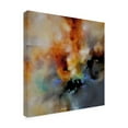 thumbnail image 4 of Trademark Fine Art "Magic Sky" Canvas Art by CH Studios, 4 of 4