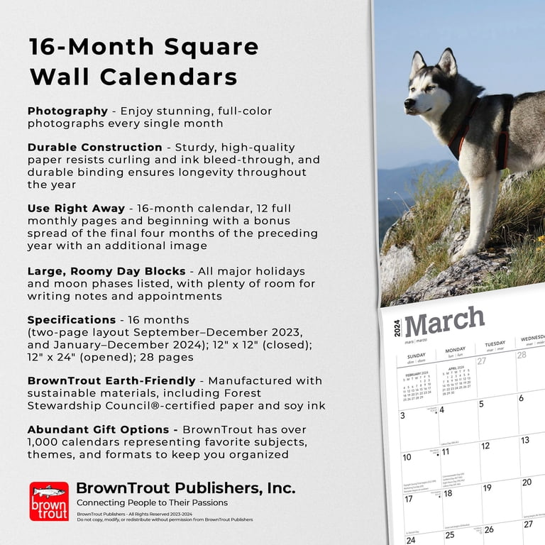 Siberian Huskies | 2024 12x24" (Hanging) Wall Calendar | BrownTrout -  Walmart.com