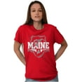 thumbnail image 4 of Maine ME Pride Gameday Spirit Cool Men's Graphic T Shirt Tees Brisco Brands S, 4 of 6